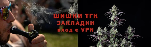 ГАЛЛЮЦИНОГЕННЫЕ ГРИБЫ Абдулино