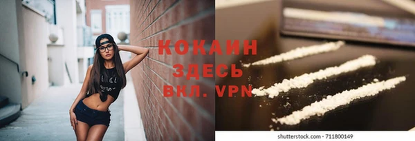 стаф Абаза