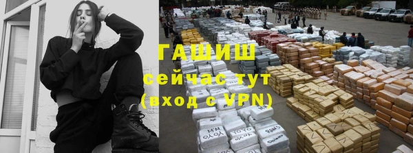 стаф Абаза